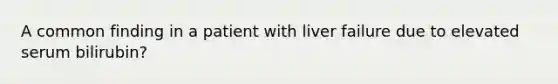 A common finding in a patient with liver failure due to elevated serum bilirubin?