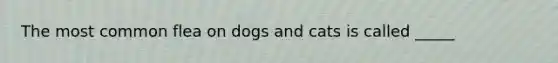 The most common flea on dogs and cats is called _____