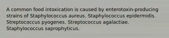 A common food intoxication is caused by enterotoxin-producing strains of Staphylococcus aureus. Staphylococcus epidermidis. Streptococcus pyogenes. Streptococcus agalactiae. Staphylococcus saprophyticus.