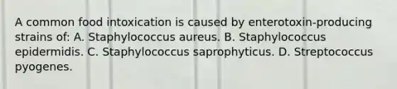 A common food intoxication is caused by enterotoxin-producing strains of: A. Staphylococcus aureus. B. Staphylococcus epidermidis. C. Staphylococcus saprophyticus. D. Streptococcus pyogenes.