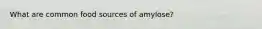 What are common food sources of amylose?