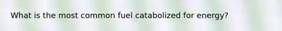 What is the most common fuel catabolized for energy?