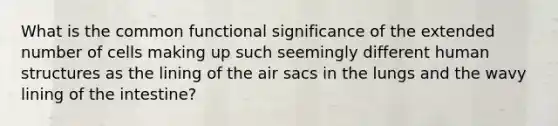 What is the common functional significance of the extended number of cells making up such seemingly different human structures as the lining of the air sacs in the lungs and the wavy lining of the intestine?