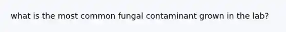 what is the most common fungal contaminant grown in the lab?