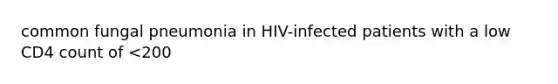 common fungal pneumonia in HIV-infected patients with a low CD4 count of <200