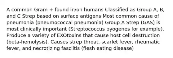 A common Gram + found in/on humans Classified as Group A, B, and C Strep based on surface antigens Most common cause of pneumonia (pneumococcal pneumonia) Group A Strep (GAS) is most clinically important (Streptococcus pyogenes for example). Produce a variety of EXOtoxins that cause host cell destruction (beta-hemolysis). Causes strep throat, scarlet fever, rheumatic fever, and necrotizing fasciitis (flesh eating disease)