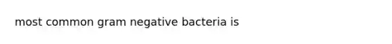 most common gram negative bacteria is