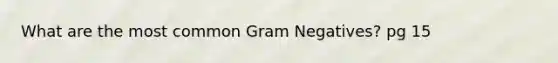 What are the most common Gram Negatives? pg 15