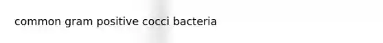 common gram positive cocci bacteria