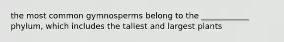 the most common gymnosperms belong to the ____________ phylum, which includes the tallest and largest plants