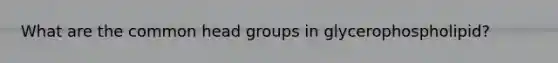 What are the common head groups in glycerophospholipid?