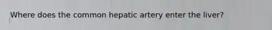 Where does the common hepatic artery enter the liver?