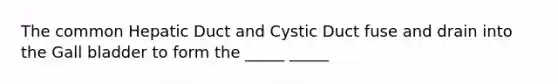 The common Hepatic Duct and Cystic Duct fuse and drain into the Gall bladder to form the _____ _____