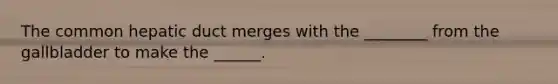 The common hepatic duct merges with the ________ from the gallbladder to make the ______.
