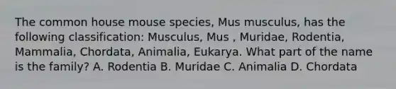 The common house mouse species, Mus musculus, has the following classification: Musculus, Mus , Muridae, Rodentia, Mammalia, Chordata, Animalia, Eukarya. What part of the name is the family? A. Rodentia B. Muridae C. Animalia D. Chordata