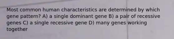 Most common human characteristics are determined by which gene pattern? A) a single dominant gene B) a pair of recessive genes C) a single recessive gene D) many genes working together