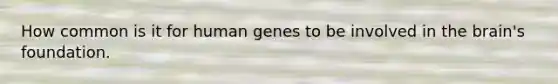 How common is it for human genes to be involved in the brain's foundation.