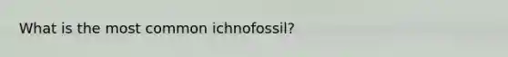 What is the most common ichnofossil?