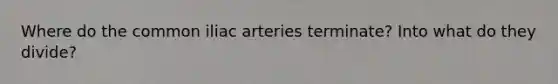 Where do the common iliac arteries terminate? Into what do they divide?