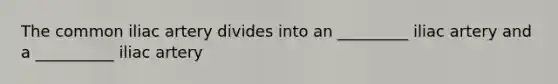 The common iliac artery divides into an _________ iliac artery and a __________ iliac artery