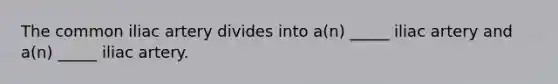 The common iliac artery divides into a(n) _____ iliac artery and a(n) _____ iliac artery.