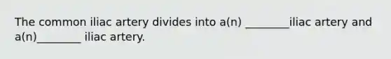 The common iliac artery divides into a(n) ________iliac artery and a(n)________ iliac artery.