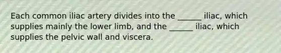 Each common iliac artery divides into the ______ iliac, which supplies mainly the lower limb, and the ______ iliac, which supplies the pelvic wall and viscera.