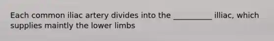 Each common iliac artery divides into the __________ illiac, which supplies maintly the lower limbs