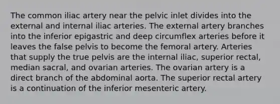 The common iliac artery near the pelvic inlet divides into the external and internal iliac arteries. The external artery branches into the inferior epigastric and deep circumflex arteries before it leaves the false pelvis to become the femoral artery. Arteries that supply the true pelvis are the internal iliac, superior rectal, median sacral, and ovarian arteries. The ovarian artery is a direct branch of the abdominal aorta. The superior rectal artery is a continuation of the inferior mesenteric artery.