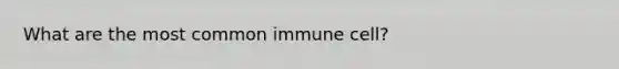 What are the most common immune cell?