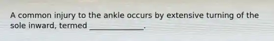 A common injury to the ankle occurs by extensive turning of the sole inward, termed ______________.
