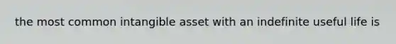 the most common intangible asset with an indefinite useful life is