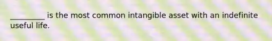 _________ is the most common intangible asset with an indefinite useful life.