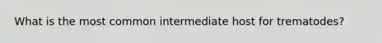 What is the most common intermediate host for trematodes?