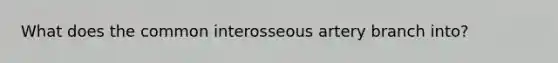 What does the common interosseous artery branch into?