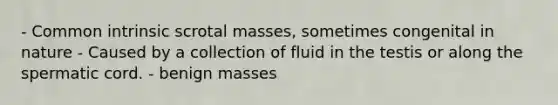 - Common intrinsic scrotal masses, sometimes congenital in nature - Caused by a collection of fluid in the testis or along the spermatic cord. - benign masses