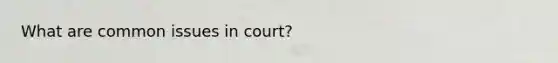 What are common issues in court?