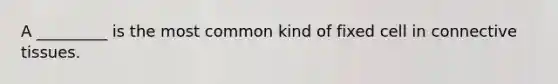 A _________ is the most common kind of fixed cell in connective tissues.