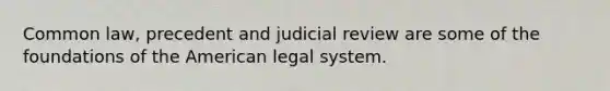 Common law, precedent and judicial review are some of the foundations of the American legal system.