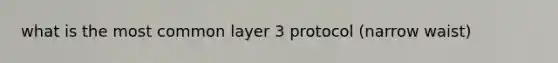 what is the most common layer 3 protocol (narrow waist)