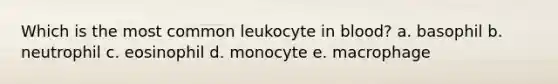 Which is the most common leukocyte in blood? a. basophil b. neutrophil c. eosinophil d. monocyte e. macrophage