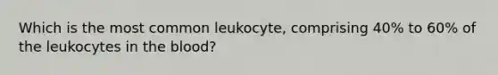 Which is the most common leukocyte, comprising 40% to 60% of the leukocytes in the blood?