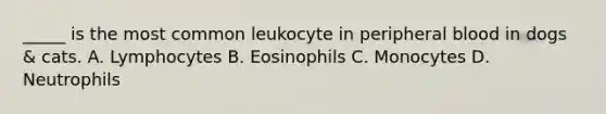 _____ is the most common leukocyte in peripheral blood in dogs & cats. A. Lymphocytes B. Eosinophils C. Monocytes D. Neutrophils