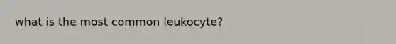 what is the most common leukocyte?