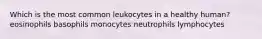 Which is the most common leukocytes in a healthy human? eosinophils basophils monocytes neutrophils lymphocytes