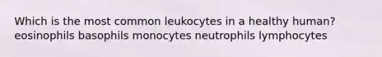 Which is the most common leukocytes in a healthy human? eosinophils basophils monocytes neutrophils lymphocytes