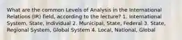 What are the common Levels of Analysis in the International Relations (IR) field, according to the lecture? 1. International System, State, Individual 2. Municipal, State, Federal 3. State, Regional System, Global System 4. Local, National, Global