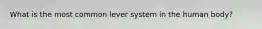 What is the most common lever system in the human body?