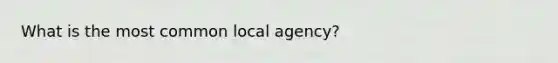 What is the most common local agency?