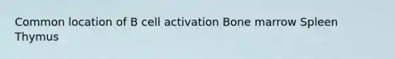 Common location of B cell activation Bone marrow Spleen Thymus